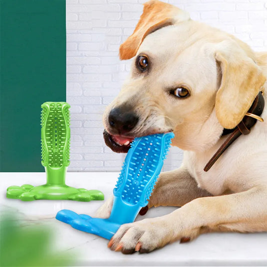 Cuttie Dog Toys for Large Dogs Toothbrush Squeak Toys for Small Dogs Puppy Squeaky Chew Toy Dog