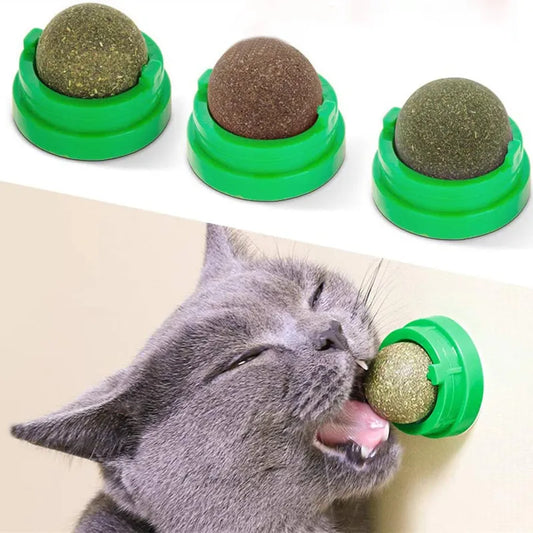 Natural Catnip Cat Wall Stick-on Ball Toy