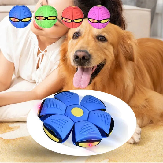 Pet Dog Toy Flying Saucer